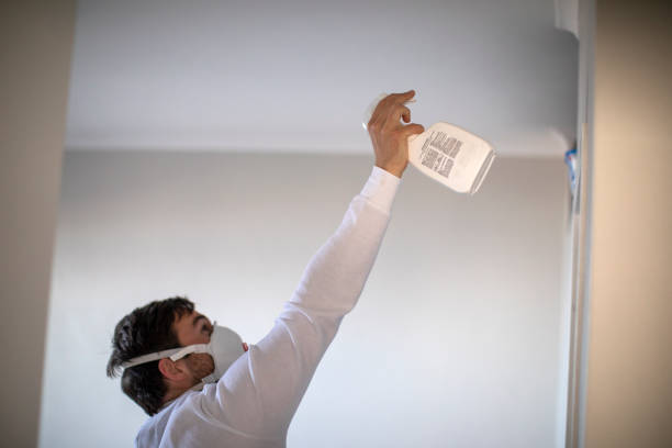 Best Mold Removal and Inspection  in Dexter, NM