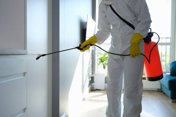 Best Emergency Mold Removal  in Dexter, NM