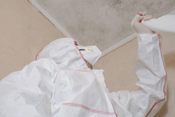 Best Crawl Space Mold Removal  in Dexter, NM