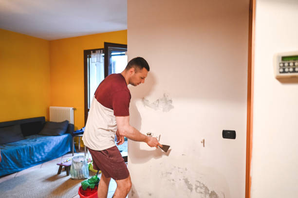 Best Mold Remediation  in Dexter, NM